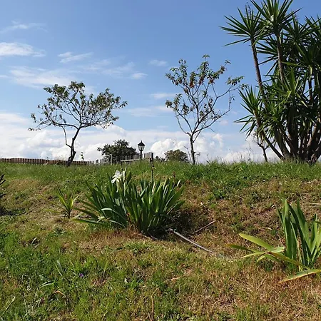 Finca la Carb0nera-3